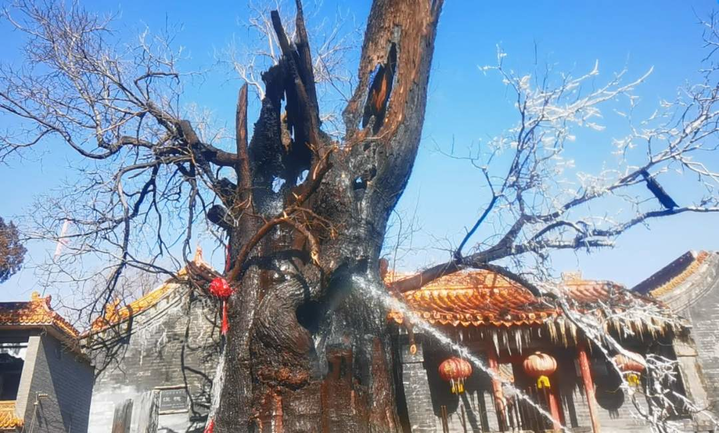 640-2.png?x-oss-process=style/w10