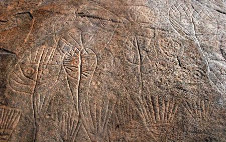 探秘东方天书连云港举办将军崖岩画文化价值与精神内涵研讨会