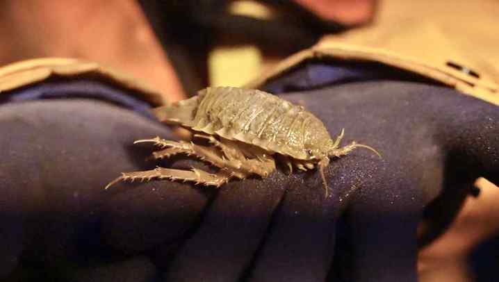 截屏2024-01-30 08.59.37.01.jpg?x-oss-process=style/w10