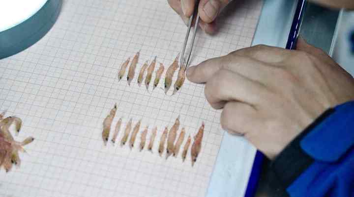 截屏2024-01-30 09.02.32.01.jpg?x-oss-process=style/w10