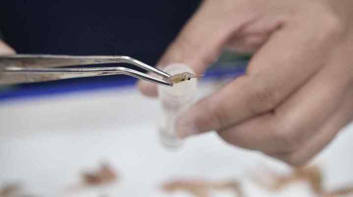 截屏2024-01-30 09.02.57.01.jpg?x-oss-process=style/w10