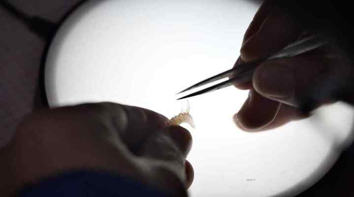 截屏2024-01-30 09.03.42.01.jpg?x-oss-process=style/w10