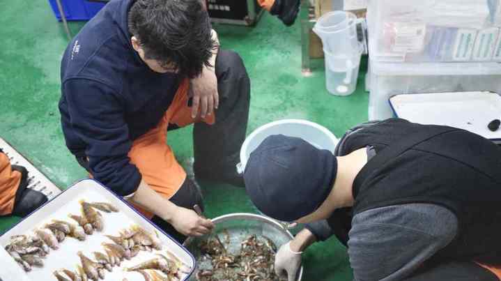 截屏2024-01-30 09.09.14.01.jpg?x-oss-process=style/w10