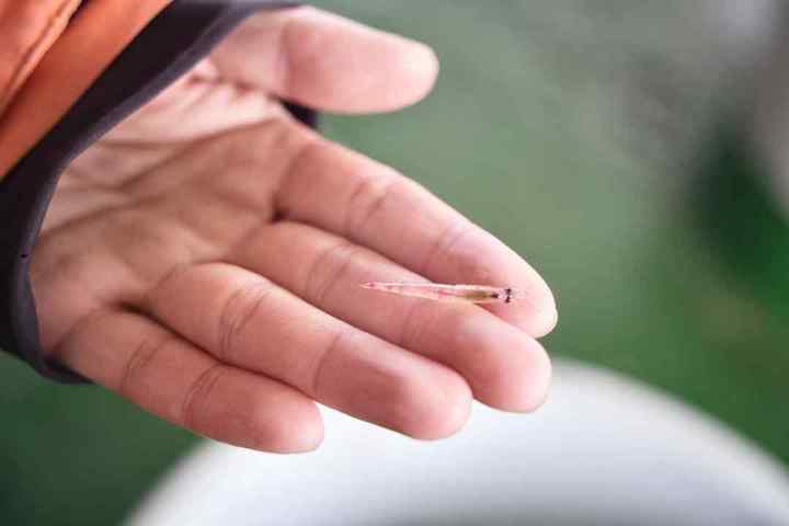 DSC09816.01.jpg?x-oss-process=style/w10