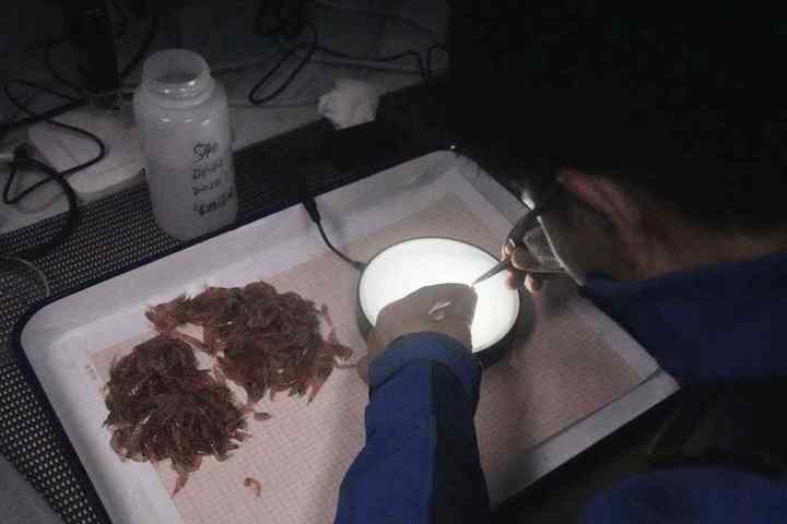 DSC09828.01.jpg?x-oss-process=style/w10