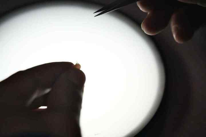 DSC09830.01.jpg?x-oss-process=style/w10