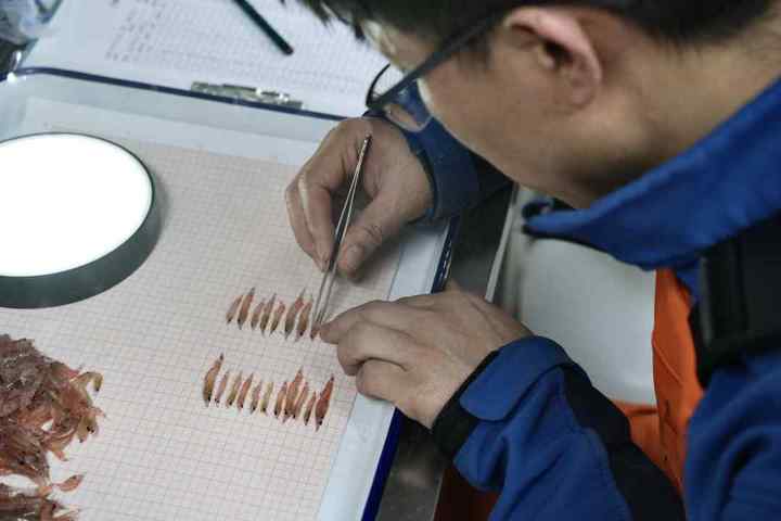 DSC09840.01.jpg?x-oss-process=style/w10