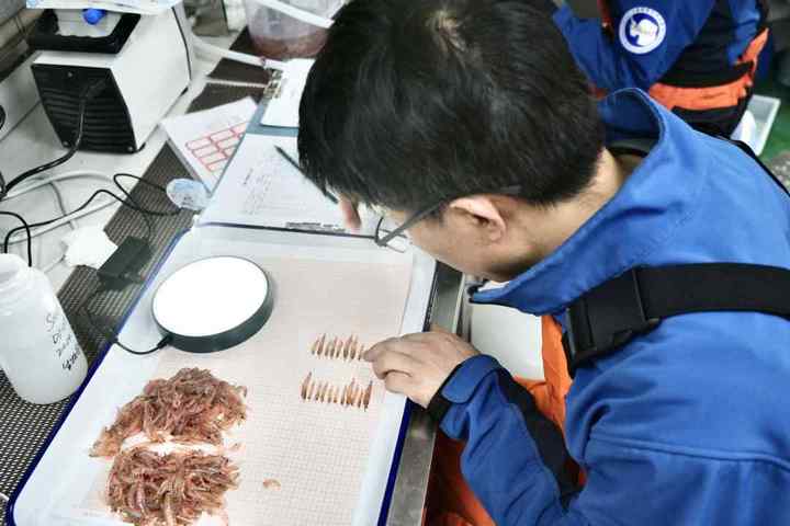 DSC09841.01.jpg?x-oss-process=style/w10