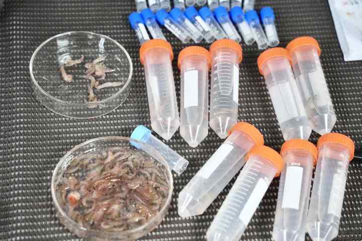 DSC09842.01.jpg?x-oss-process=style/w10