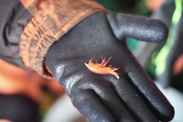 DSC09847.01.jpg?x-oss-process=style/w10