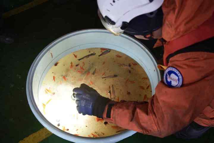 DSC09851.01.jpg?x-oss-process=style/w10