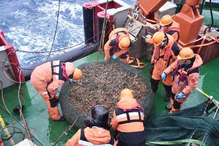 DSC09871.01.jpg?x-oss-process=style/w10