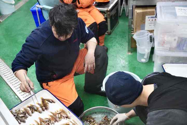 DSC09891.01.jpg?x-oss-process=style/w10