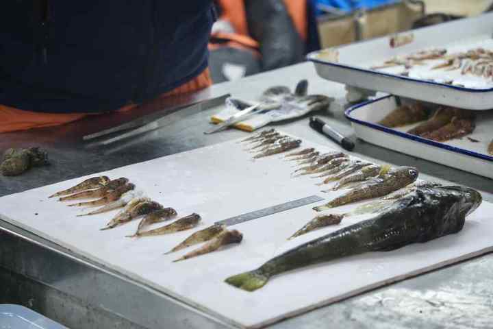 DSC09894.01.jpg?x-oss-process=style/w10