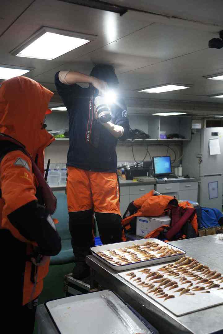 DSC09895.01.jpg?x-oss-process=style/w10