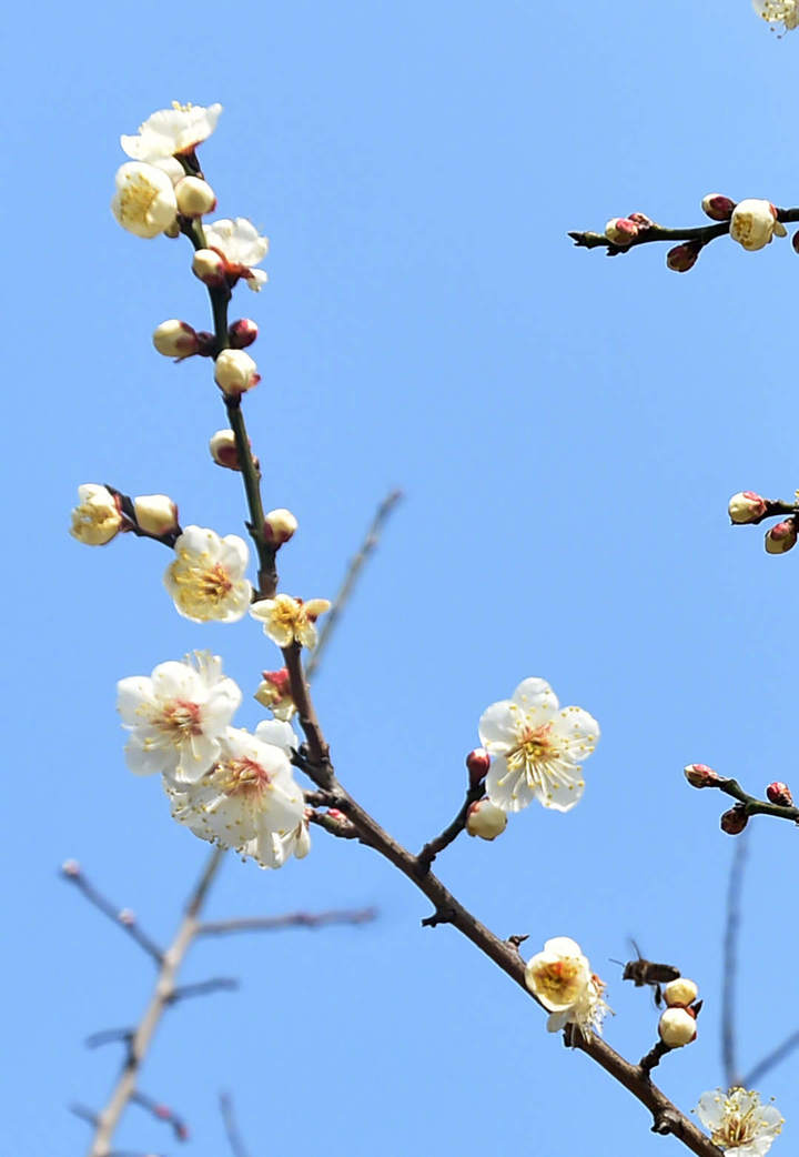 0033ImPzgy1hmpebbay4lj613b1kw4hn02.jpg?x-oss-process=style/w10