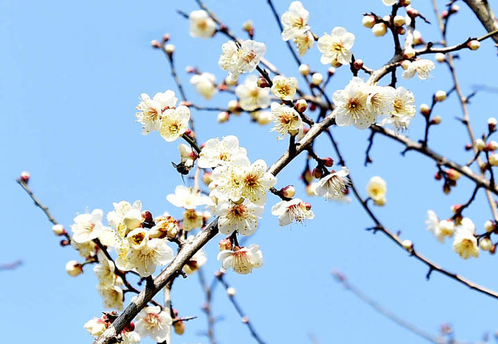 0033ImPzgy1hmpebbewooj61kw13c4p102.jpg?x-oss-process=style/w10