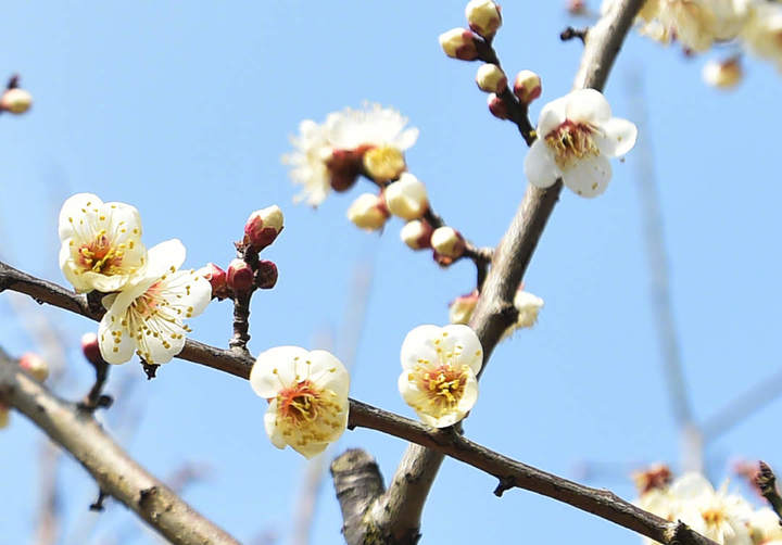 0033ImPzgy1hmpebbncdtj61kw13nqn702.jpg?x-oss-process=style/w10