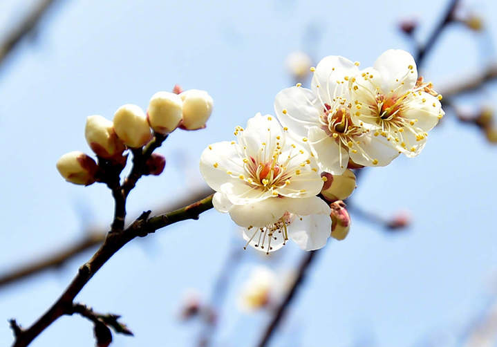 0033ImPzgy1hmpebbjdicj61kw13p1dd02.jpg?x-oss-process=style/w10