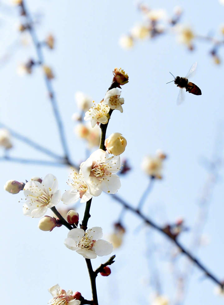 0033ImPzgy1hmpebbbt61j615t1kwqm002.jpg?x-oss-process=style/w10