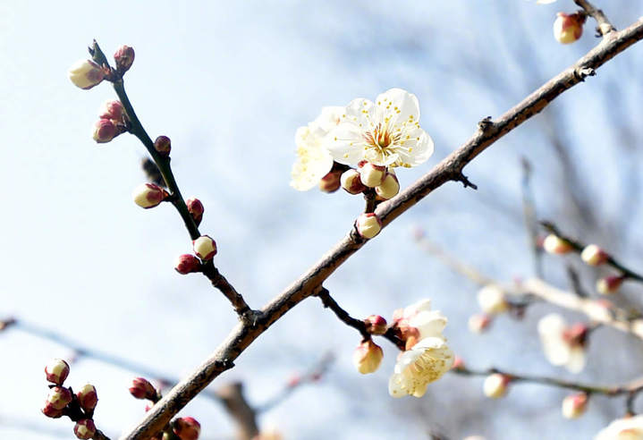 0033ImPzgy1hmpebbg7irj61kw12xqmz02.jpg?x-oss-process=style/w10