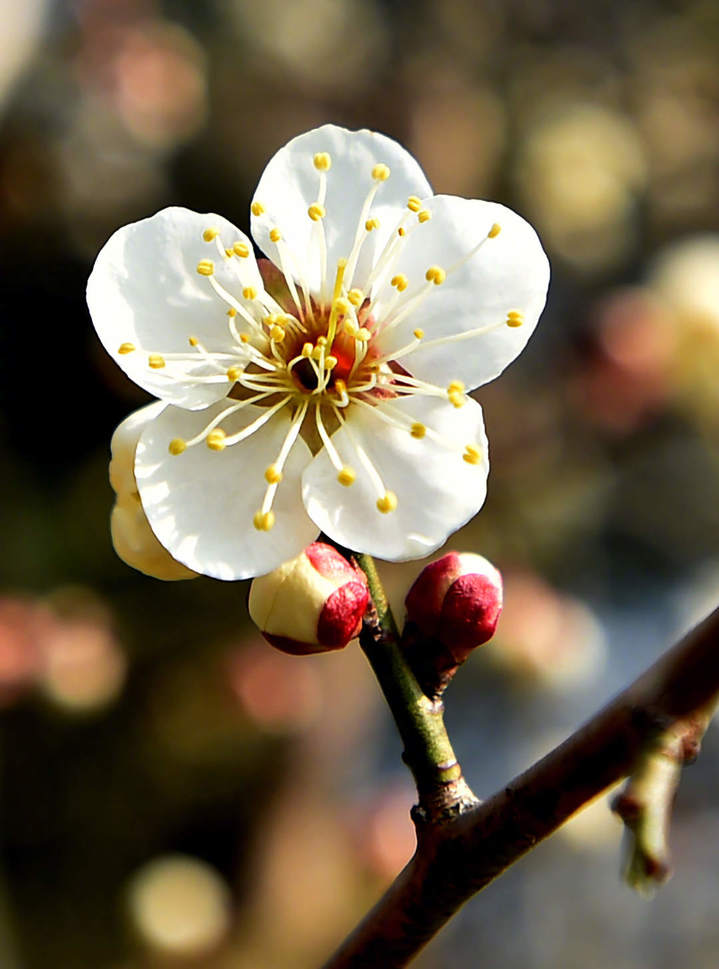 0033ImPzgy1hmpebbc8l0j61671kw1ex02.jpg?x-oss-process=style/w10