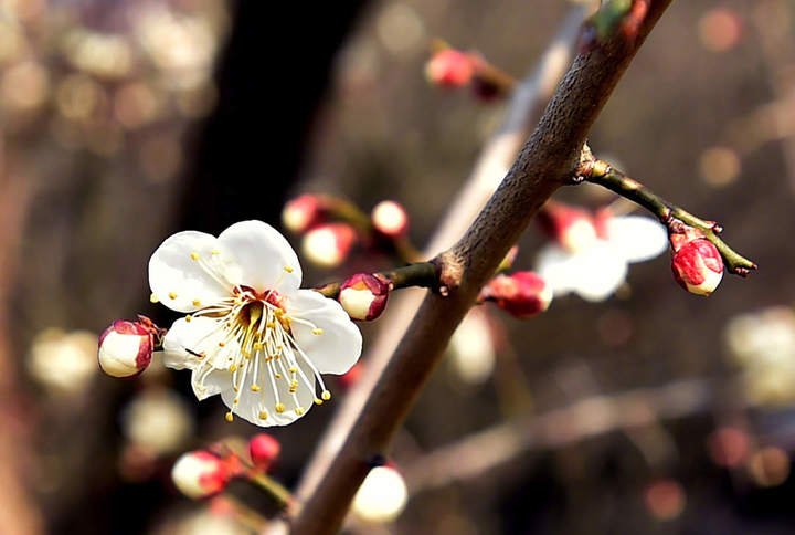 0033ImPzgy1hmpebbrxvrj61kw128ngl02.jpg?x-oss-process=style/w10