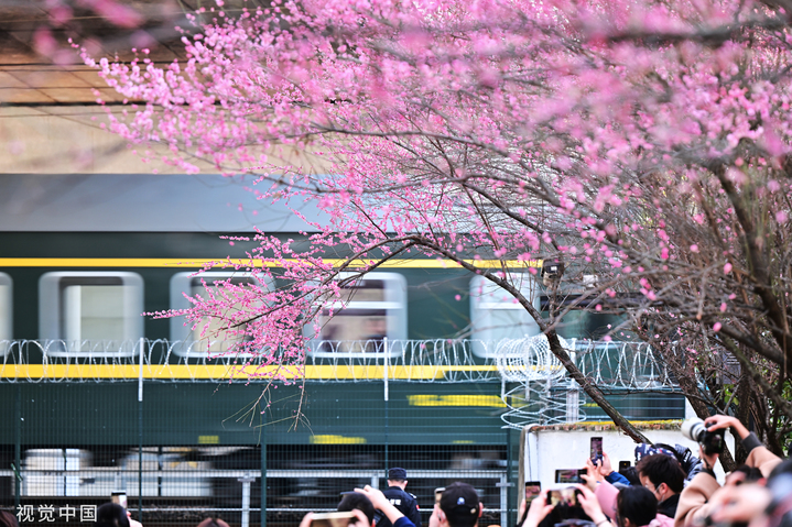 2023年2月27日，杭州，凤起路凯旋路口附近铁道旁的红梅盛开，市民纷纷举起手中设备，拍摄下梅花与穿行的列车构成的“开往春天的列车”之景。
