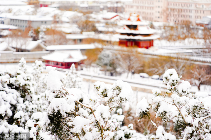 2024年2月21日，北京，一场龙年初雪过后，大地银装素裹。故宫建筑群被白雪覆盖，红墙金瓦与雪地形成鲜明对比。