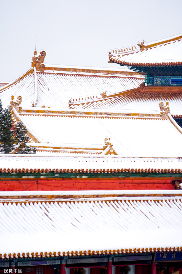 2024年2月21日迎来龙年首场降雪，故宫博物院雪景，金瓦红墙，白雪纷飞，漫天白雪配上故宫的红墙，十分美丽。