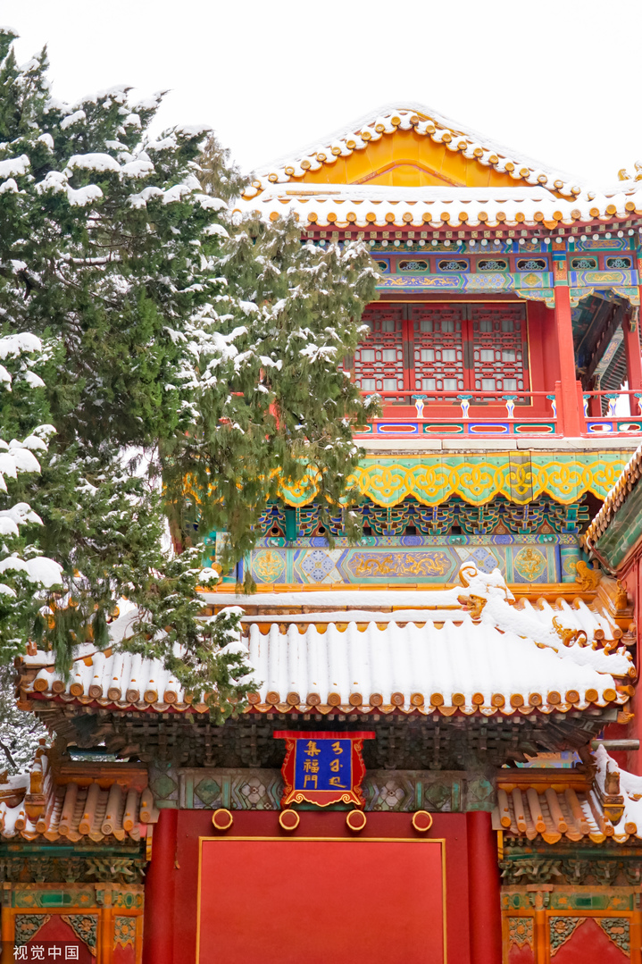2024年2月21日迎来龙年首场降雪，故宫博物院雪景，金瓦红墙，白雪纷飞，漫天白雪配上故宫的红墙，十分美丽。