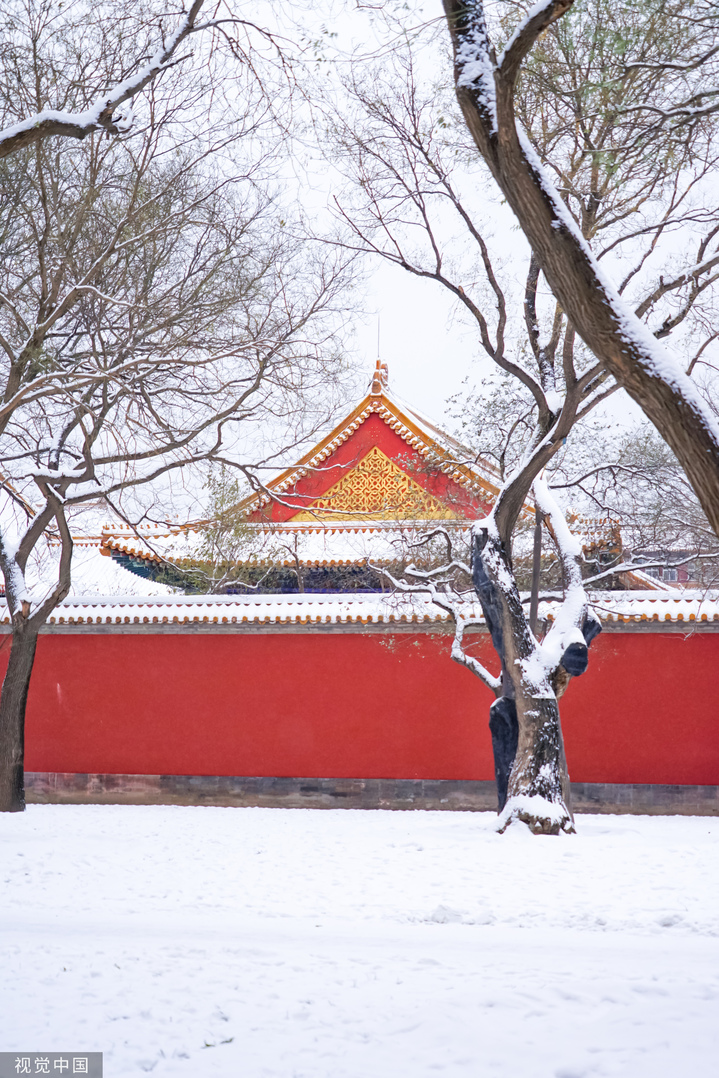 2024年2月21日迎来龙年首场降雪，故宫博物院雪景，金瓦红墙，白雪纷飞，漫天白雪配上故宫的红墙，十分美丽。