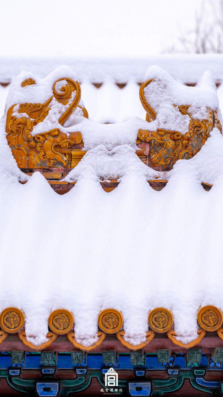 001O1JA0ly1hn0ytm95txj60u01hc4hx02.jpg?x-oss-process=style/w10