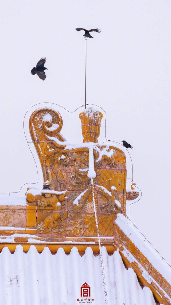 001O1JA0ly1hn0ytm2t6mj60u01hckbg02.jpg?x-oss-process=style/w10