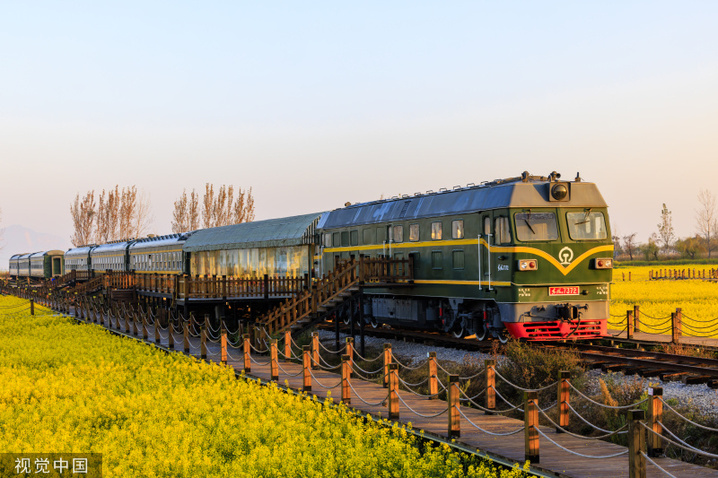 2024年2月27日，昆明沙堤村，绿皮火车”穿行“金黄油菜花海。签约供稿人/视觉中国 编辑/康娜