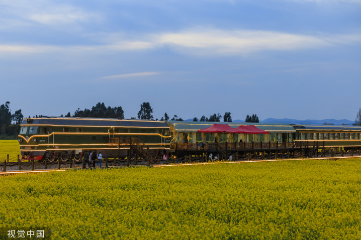 2024年2月27日，昆明沙堤村，绿皮火车”穿行“金黄油菜花海。