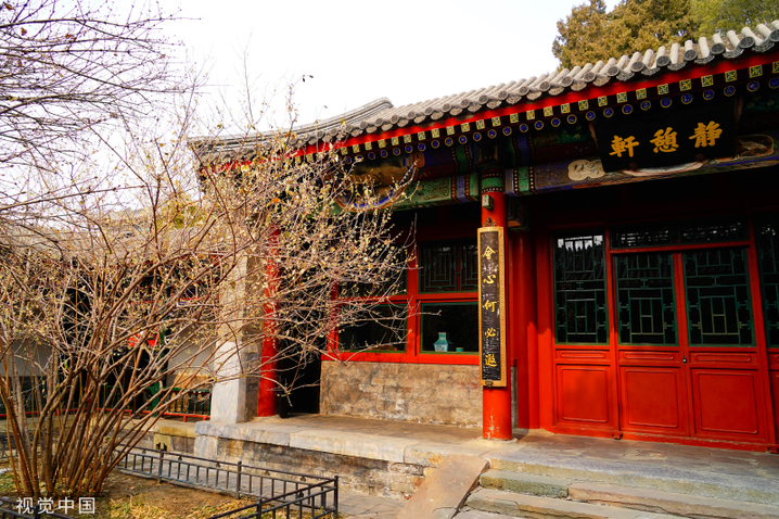 2024年2月27日，北京，北海公园静憩轩蜡梅娇艳绽放，嫩黄色的花朵傲立在枝头，让人感到勃勃生机。
