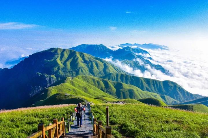 1709365295668977.jpeg?x-oss-process=style/w10 免费3.jpeg?x-oss-process=style/w10