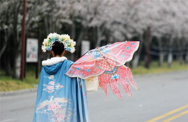 2024年3月25日，江苏扬州，春暖花开时节，鉴真路上的樱花大道数千株樱花竞相开放，浪漫绚烂，如云似霞，吸引众多市民和游客前来踏青赏花，乐享春光。