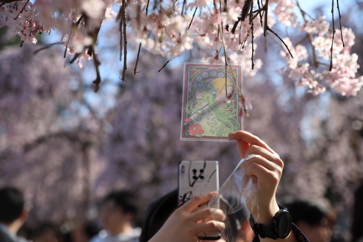 2024年3月28日，西安市青龙寺樱花竞相盛开，与古典园林建筑和古塔交相辉映，吸引众多市民和游客踏青赏花，一同领略古城的美好春天。还有不少汉服爱好者在樱花树下定格春天，留下美好瞬间。