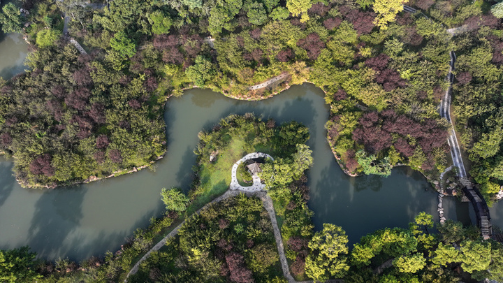 2024年10月8日，江苏扬州，寒露时节，瘦西湖风景区薄雾轻笼、树木斑斓，渐显迷人湖上秋色。