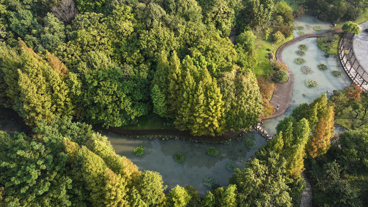 2024年10月8日，江苏扬州，寒露时节，瘦西湖风景区薄雾轻笼、树木斑斓，渐显迷人湖上秋色。