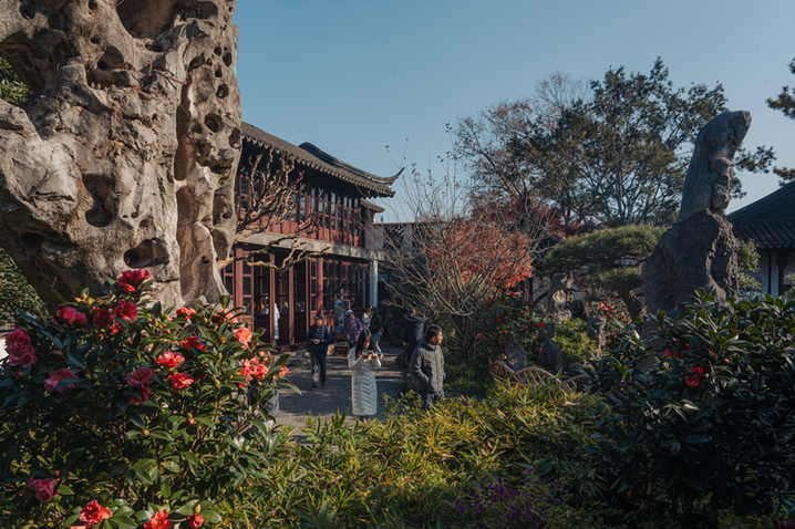 2024年12月17日，苏州留园枫叶火红，彩林扮靓冬日。