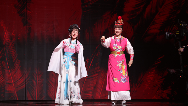 单依纯倾情演绎《天上掉下个林妹妹》+《纯妹妹》，将流行元素与越剧文化完美融合，用她极具感染力的演唱和灵动的舞台表现，展现出了少女的纯真与活力，唱跳与柔美声线结合得恰到好处，俏皮可爱中又带着丝丝诱惑的感觉。