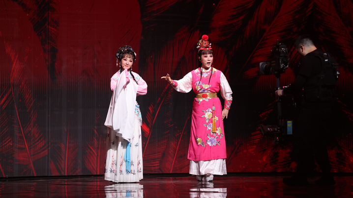 单依纯倾情演绎《天上掉下个林妹妹》+《纯妹妹》，将流行元素与越剧文化完美融合，用她极具感染力的演唱和灵动的舞台表现，展现出了少女的纯真与活力，唱跳与柔美声线结合得恰到好处，俏皮可爱中又带着丝丝诱惑的感觉。