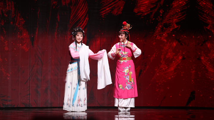 单依纯倾情演绎《天上掉下个林妹妹》+《纯妹妹》，将流行元素与越剧文化完美融合，用她极具感染力的演唱和灵动的舞台表现，展现出了少女的纯真与活力，唱跳与柔美声线结合得恰到好处，俏皮可爱中又带着丝丝诱惑的感觉。