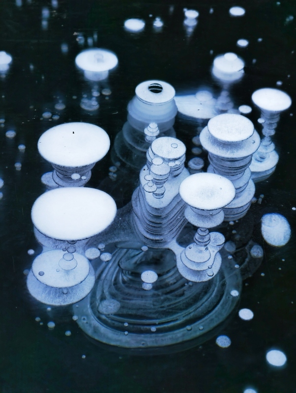 2025年1月2日，北京门头沟区，一个小水库里美丽的冰泡。
