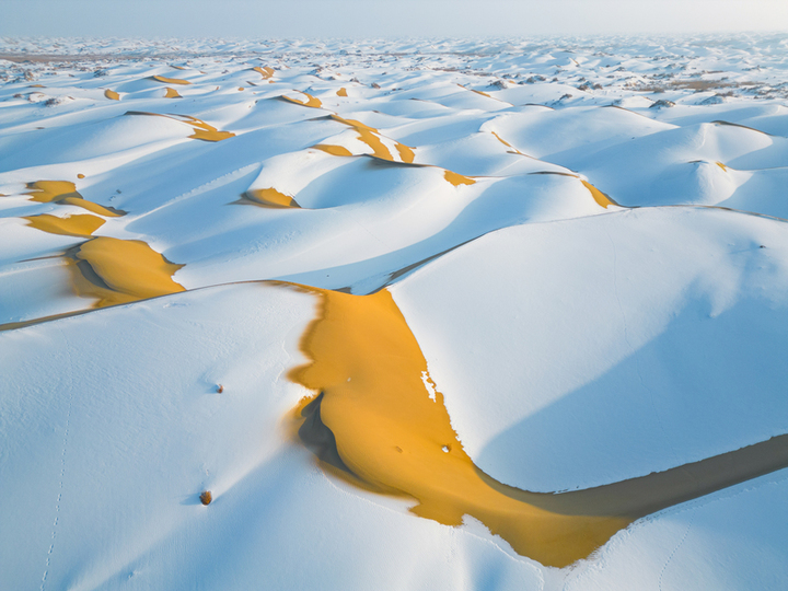 2025年1月15日，新疆巴州尉犁县，塔克拉玛干沙漠披上了银装，“沙海”变“雪海”， 沙丘的轮廓在雪的覆盖下显得更加柔和，高低起伏的沙脊与洁白的雪层构成了独特的纹理，宛如大自然精心绘制的壮美画卷。