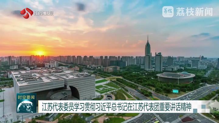 江苏代表委员学习贯彻习近平总书记在江苏代表团重要讲话精神 拼搏实干勇争先 打开改革发展新天地_荔枝新闻