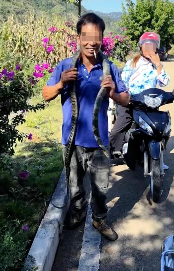 莫贪玩 一男子误将眼镜王蛇当无毒蛇 被咬身亡